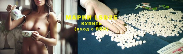 ПСИЛОЦИБИНОВЫЕ ГРИБЫ Баксан