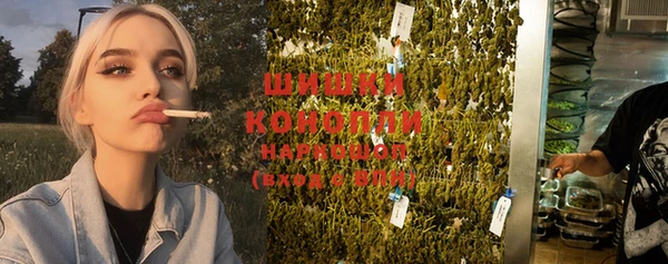 гидропоника Белокуриха