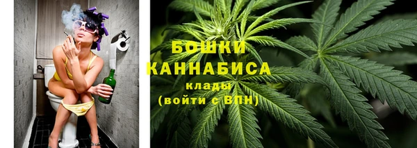 ПСИЛОЦИБИНОВЫЕ ГРИБЫ Баксан